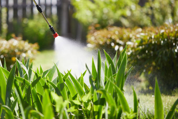 24/7 Emergency Termite Control experts in Sunnyslope, WA